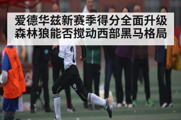 爱德华兹新赛季得分全面升级 森林狼能否搅动西部黑马格局